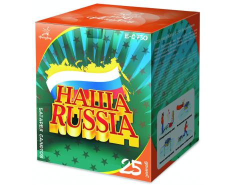 Батарея салютов "Наша Раша" (1/4/1)